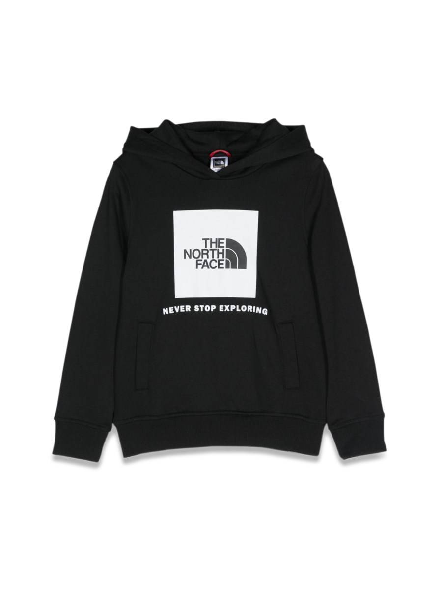 THE NORTH FACE box p/o hoodie