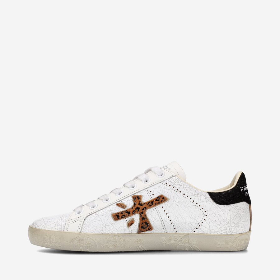 Premiata STEVEND 6660