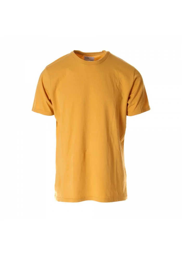 T-SHIRT UNISEX COLORFUL STANDARD | CS1001 GIALLO