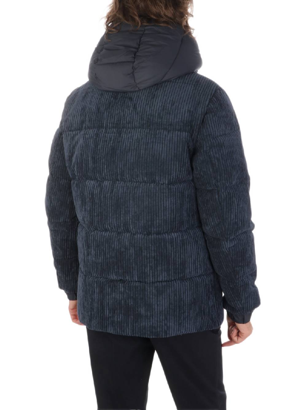 SAVE THE DUCK Giubbotto Uomo Albus In Velluto