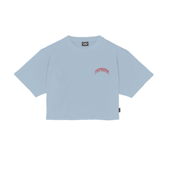 Propaganda Triangle Bengala Crop Top Tee – Sky