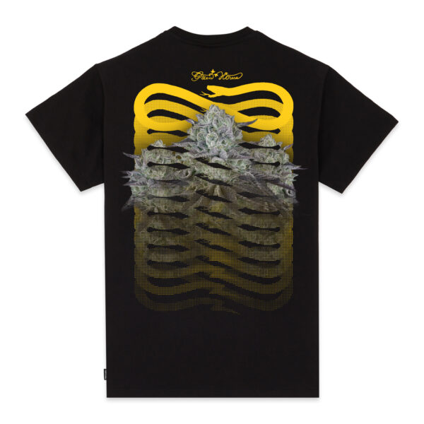 Propaganda Propaganda X Green House Seeds Co. – Ribs Fullgas Black