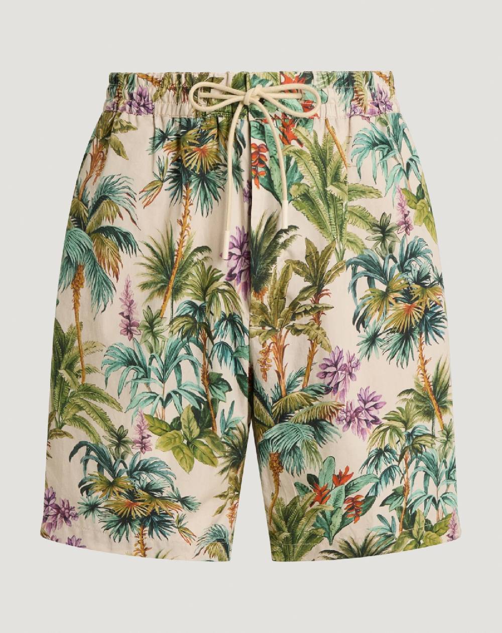 Pt Torino Bermuda in popeline di cotone