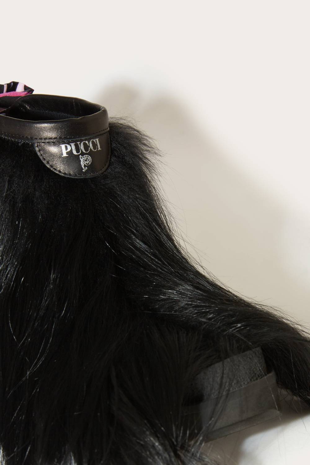 Pucci Tronchetti Doggy