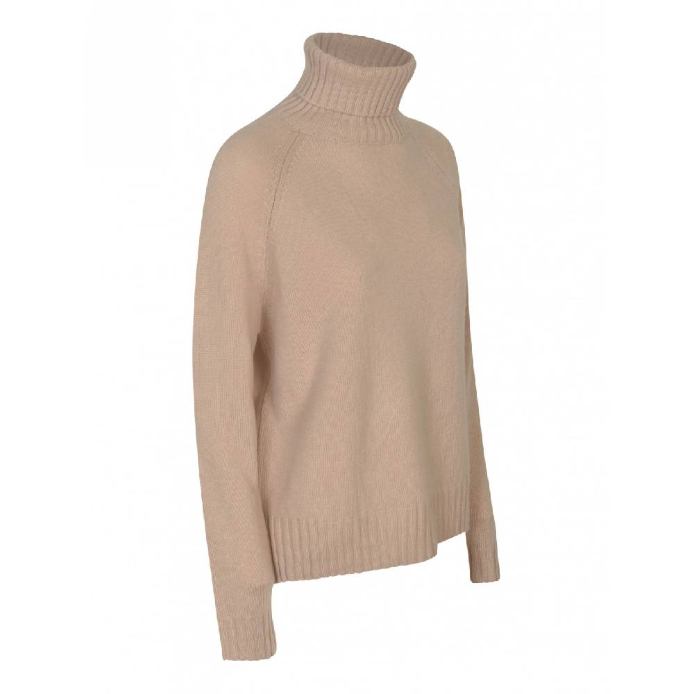 ALESSANDRO ASTE Maglia Dolcevita