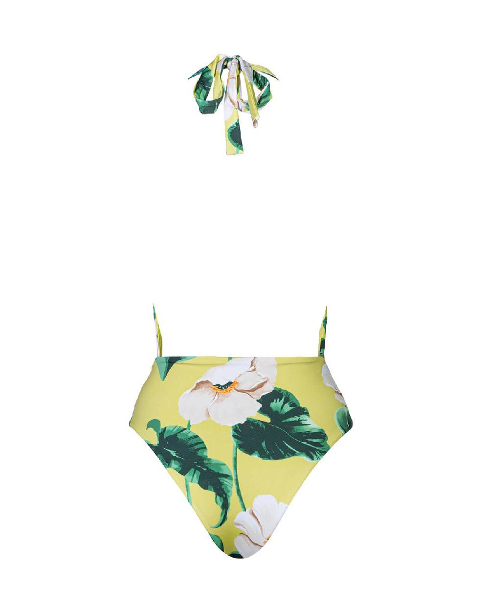 Raffaela D´Angelo Intero Schiena Nuda Stampa Macro Con Pietre