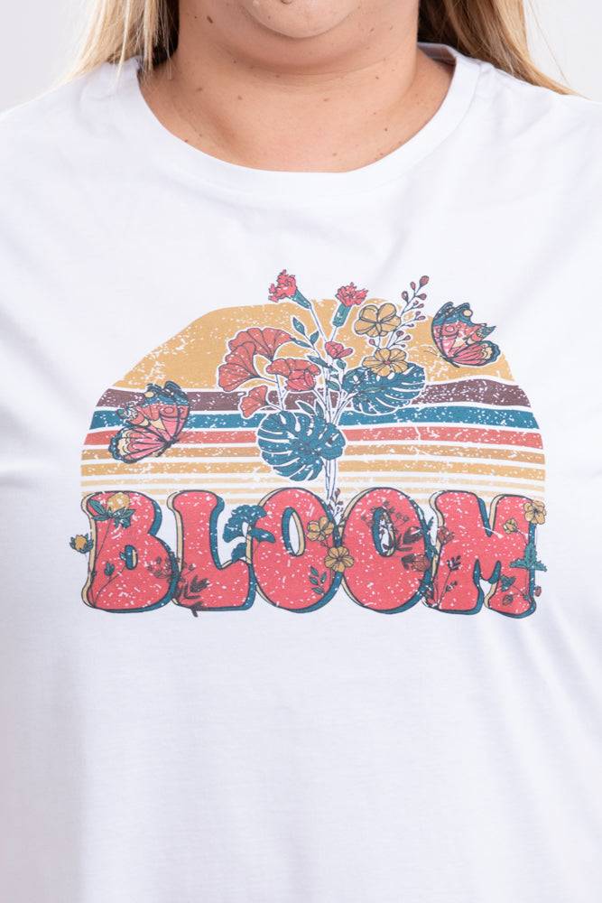 Ranpollo CV BLOOM SS24