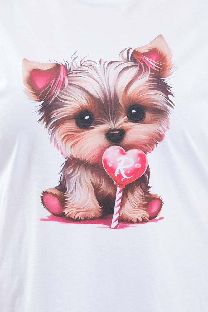 Ranpollo CV YORKY SS24