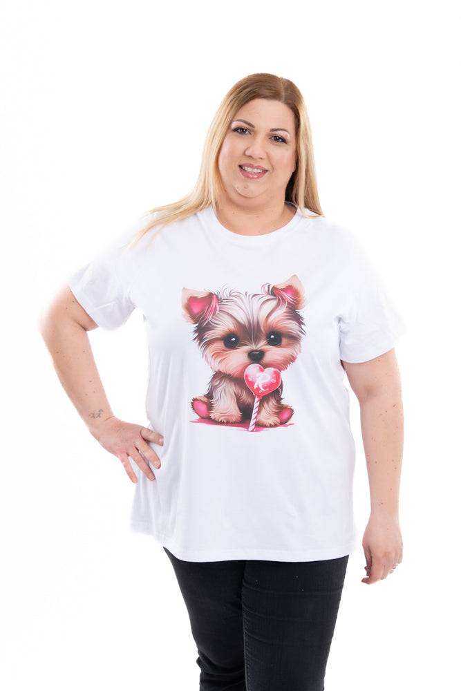 Ranpollo CV YORKY SS24