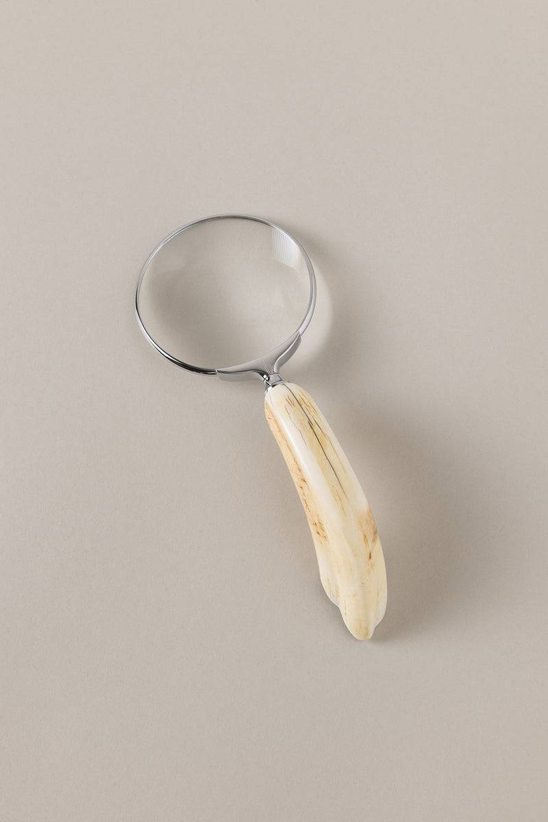 Lorenzi Milano Lente scrivania in Facocero