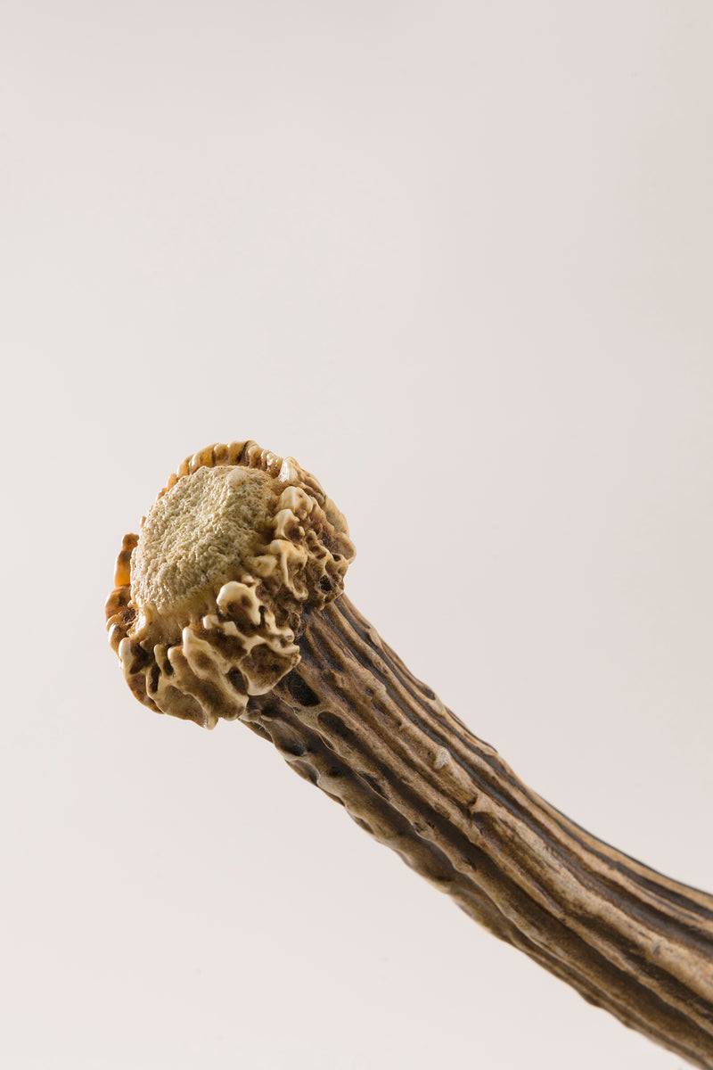 Lorenzi Milano Levacapsule In Capriolo