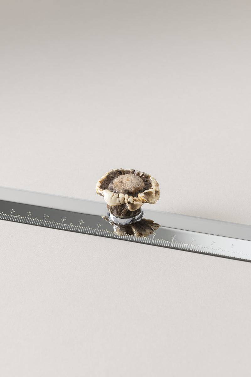 Lorenzi Milano Righello Scrivania In Capriolo