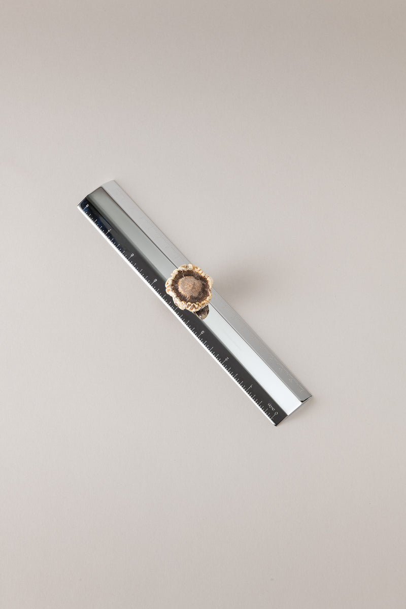 Lorenzi Milano Righello scrivania in Capriolo