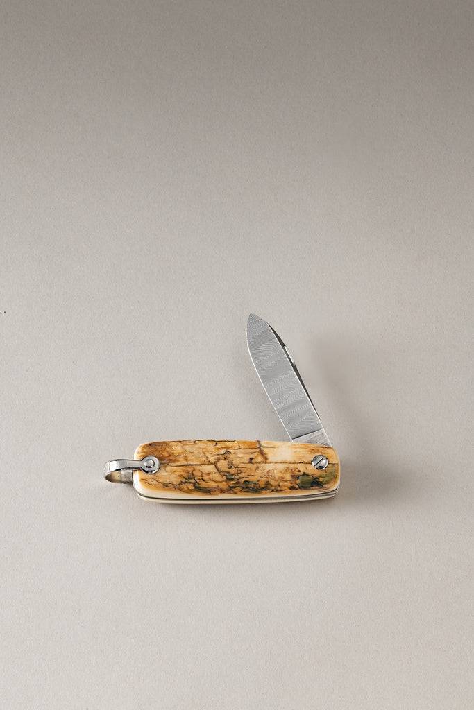 Lorenzi Milano Temperino mammut in Mammut