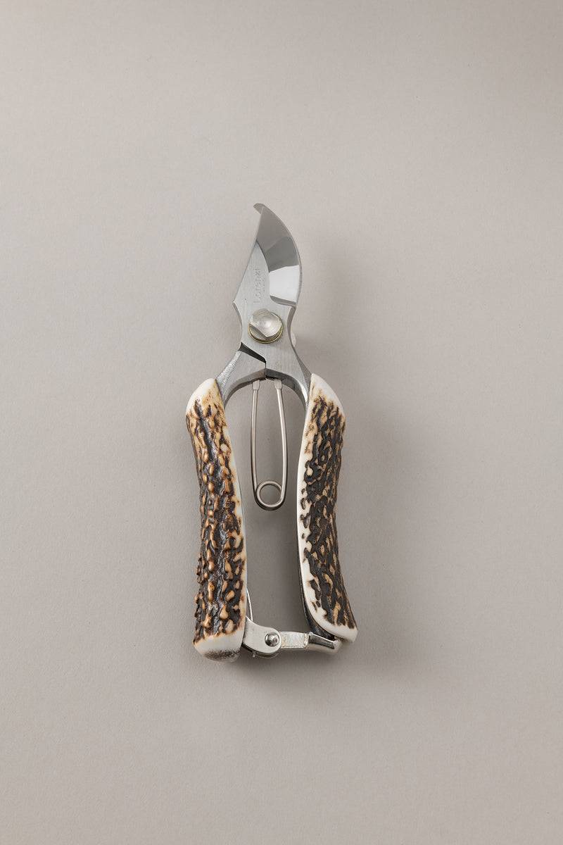 Lorenzi Milano Potatoio giardinaggio in Cervo (palco)