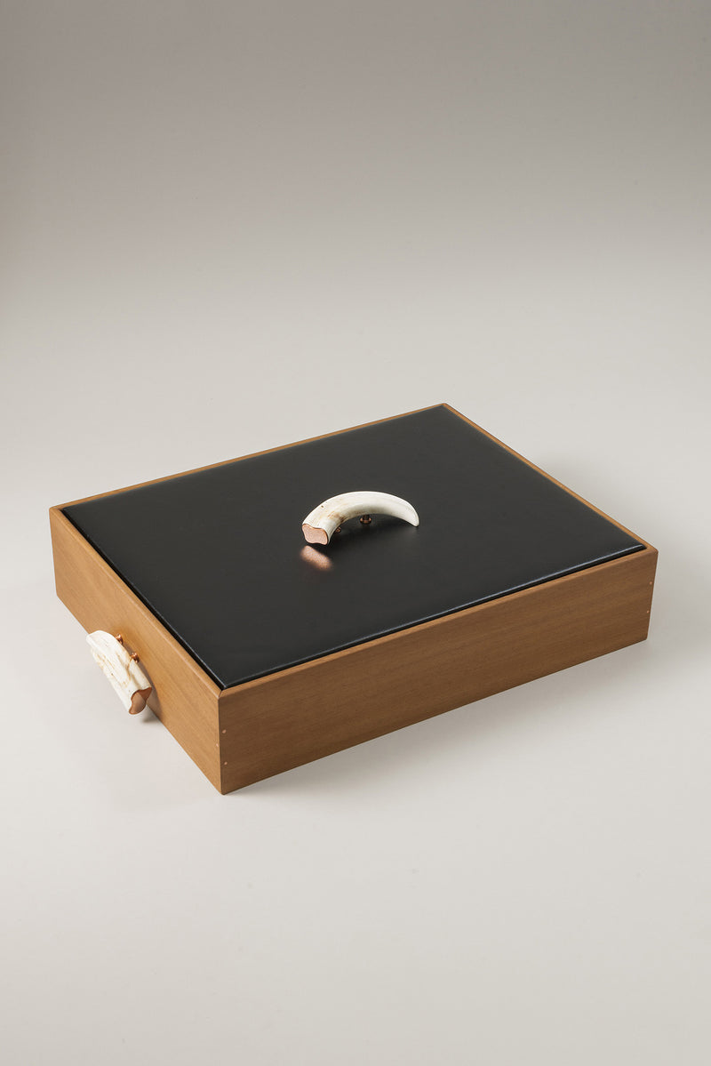 Lorenzi Milano Vassoio Pulizia Scarpe Con Spazzole Makassar In Facocero