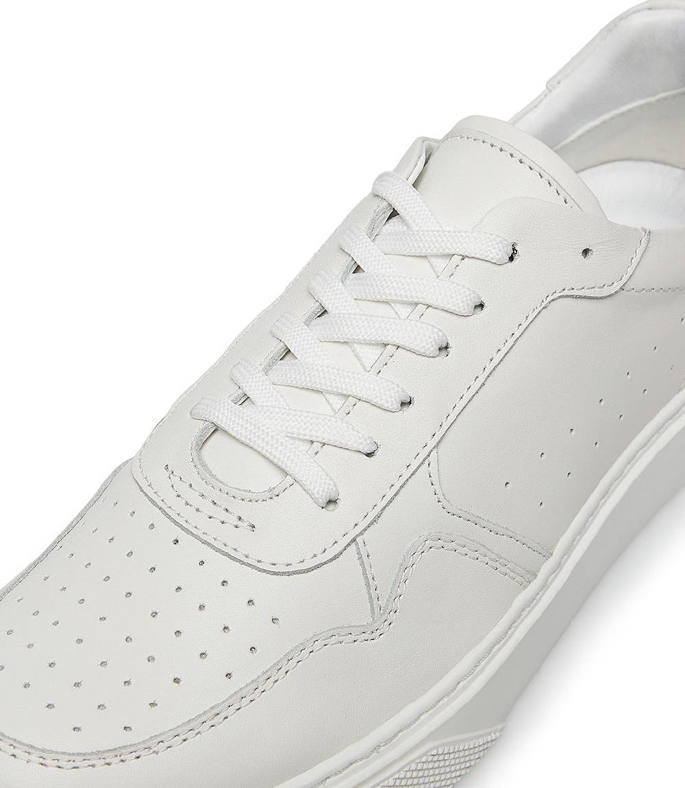 Loriblu Sneaker In Pelle E Camoscio Bianco