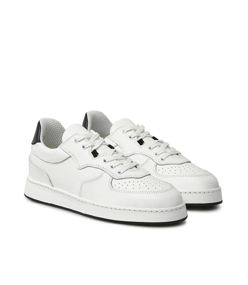 Loriblu Sneakers In Pelle Bianca