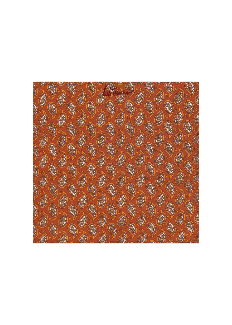 Luis Trenker Fazzoletto Da Taschino Modello Luedelbert