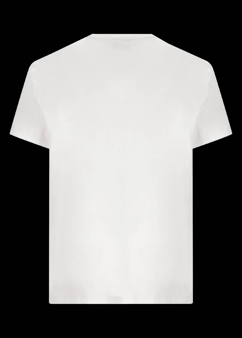 Luis Trenker T-shirt Con Motivo Argentino Modello Luargi