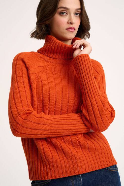 Luisa Spagnoli Mestieri - Dolcevita Raglan