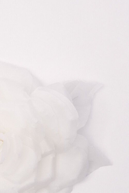 Luisa Spagnoli Nubiani - Spilla In Seta