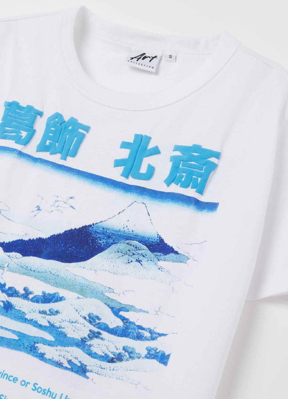 OVS T-shirt Con Stampa Monte Fuji