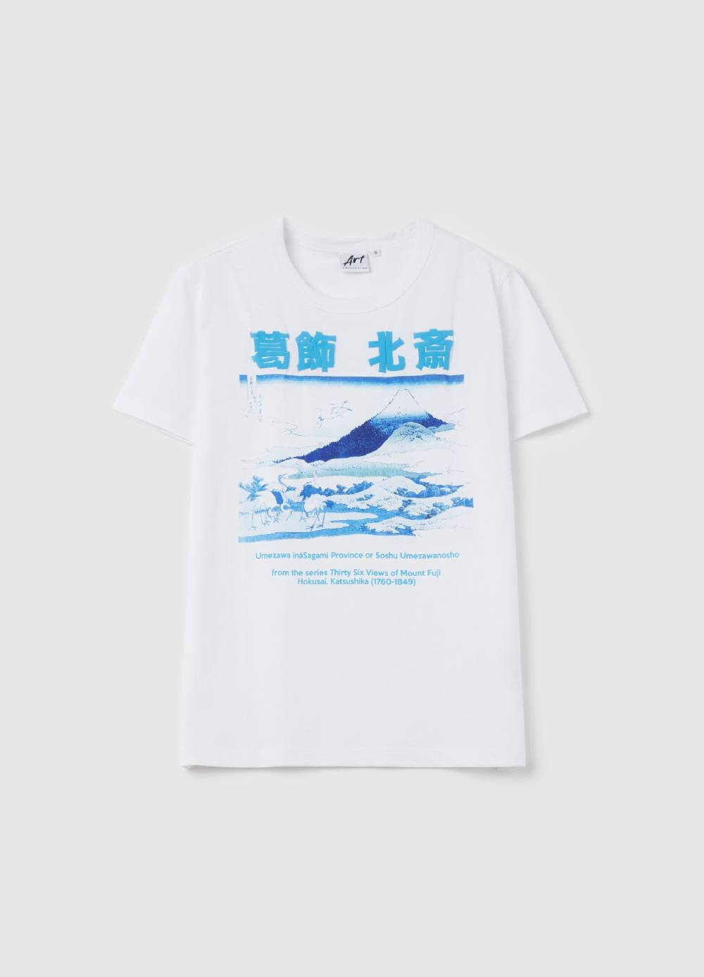 OVS T-shirt con stampa Monte Fuji