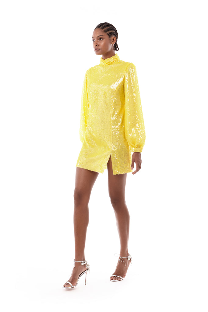 Raquel Diniz ELLE MINI DRESS