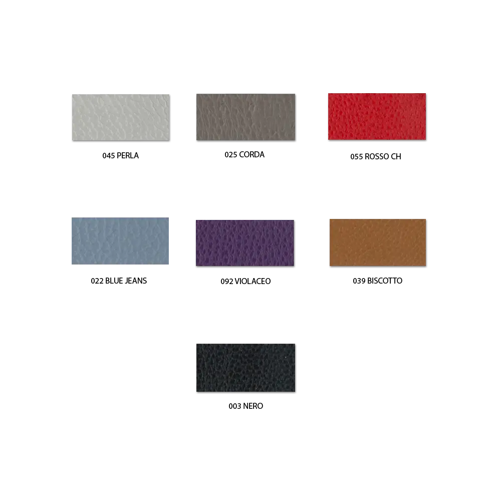 Ripani Cynthia Borsa A Spalla M