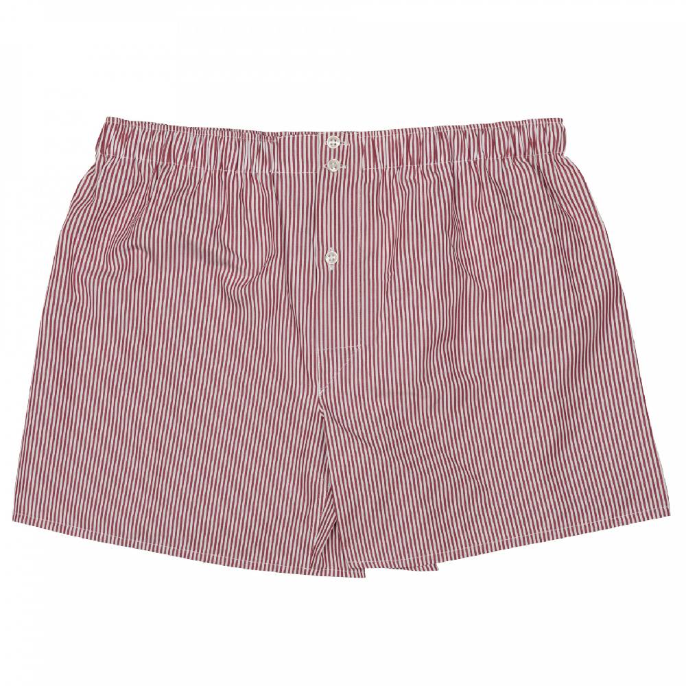 Roberto Ricetti BOXER DB1 SUPPORT - BASIC - CONTINUATIVO - RIGA BORDEAUX