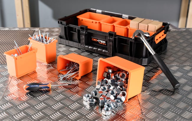 Leroymerlin Cassetta Porta Attrezzi DEXTER PRO L31.1 X H13.2 X P54.6 Cm