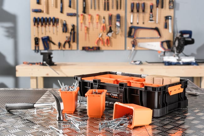 Leroymerlin Cassetta Porta Attrezzi DEXTER PRO L31.1 X H13.2 X P54.6 Cm