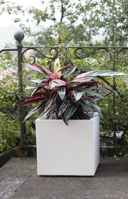 Leroymerlin Coprivaso Per Piante E Fiori KEBE In Polipropilene Bianco H 40 Cm L 40 X P 40 Cm