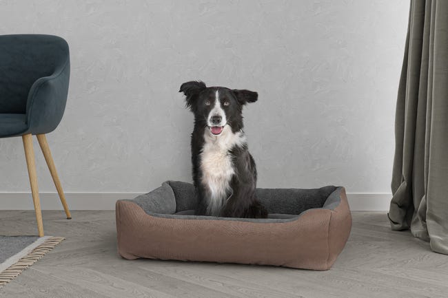 Leroymerlin CUCCIA LOVE SOGNI E CAPRICCI PETS 84x66 Cm TORTORA