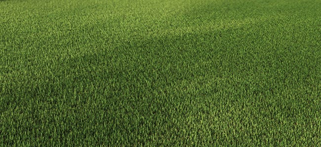 Leroymerlin Erba Artificiale 20 Mm NATERIAL Zante Al Rotolo 5 X 1 M 5 M²