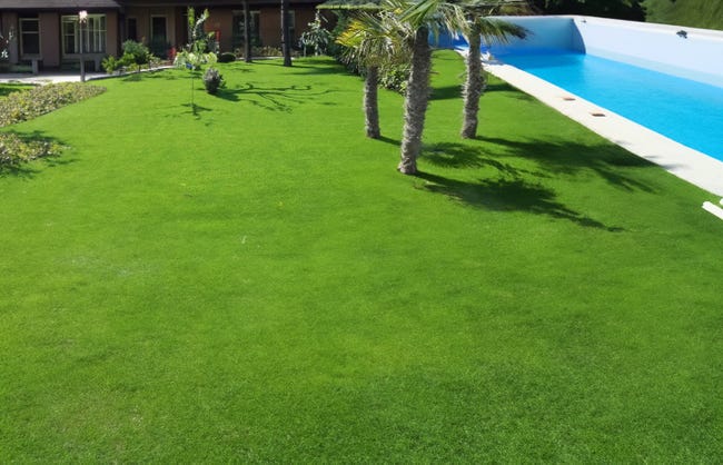 Leroymerlin Erba artificiale 30 mm 4F GROUP Deluxe al rotolo 5 x 2 m 10 m²