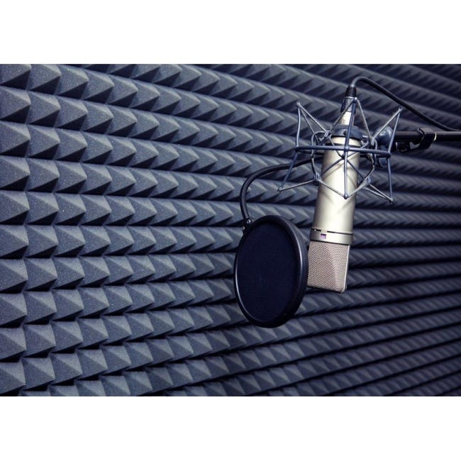 Leroymerlin Pannello Fonoassorbente Autoadesivo Piramidale 1 X 1 M Sp 50 Mm 1 Mq