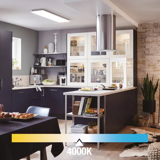 Leroymerlin Pannello LED Anvik bianco 30x120 cm INSPIRE Luce bianco naturale 4000 LUMEN