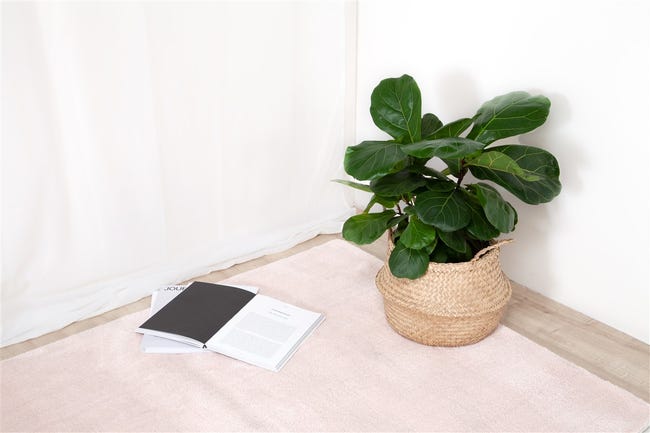 Leroymerlin Tappeto Twinkle Cipria antiscivolo rosa L 120 x L 60 cm