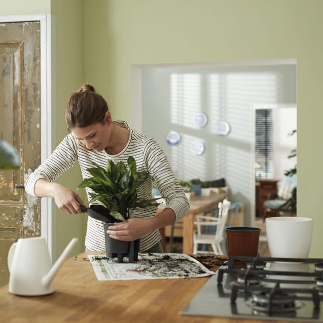 Leroymerlin Vaso Con Supporto ELHO Auto-irrigante In Polipropilene Nero H 39 Cm Ø 42.8 Cm