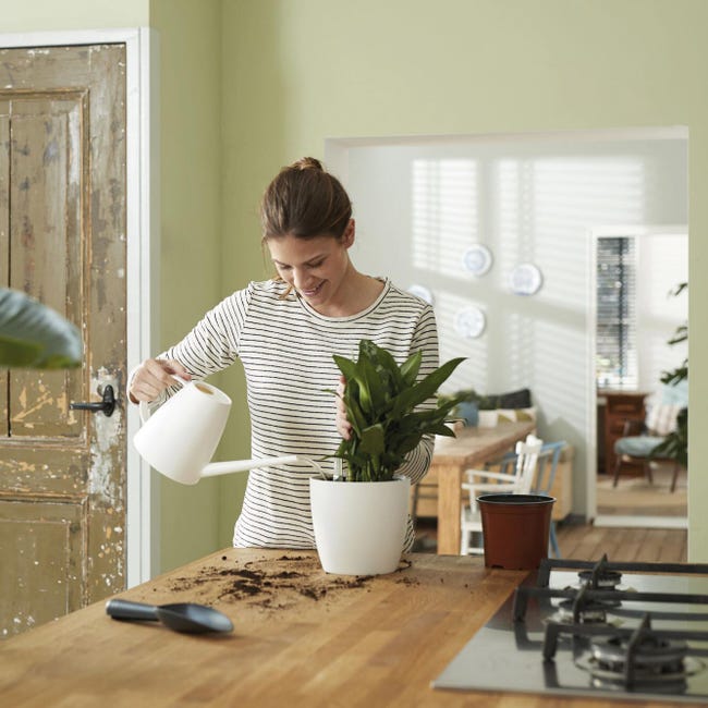 Leroymerlin Vaso Con Supporto ELHO Auto-irrigante In Polipropilene Nero H 39 Cm Ø 42.8 Cm