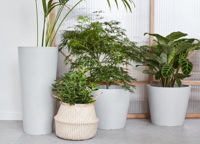 Leroymerlin Vaso Per Piante E Fiori AMSTERDAM ECOPOT'S In Polipropilene Grigio Chiaro H 70 Cm Ø 32 Cm