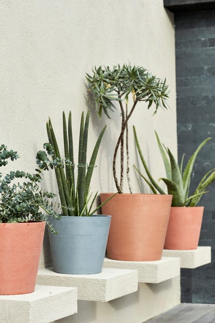 Leroymerlin Vaso Per Piante E Fiori AMSTERDAM ECOPOT'S In Resina Grigio H 26.5 Cm Ø 30 Cm