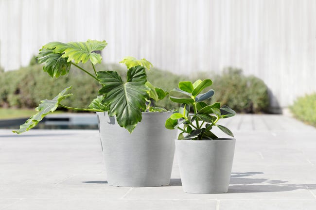 Leroymerlin Vaso Per Piante E Fiori AMSTERDAM ECOPOT'S In Resina Grigio Chiaro H 26.5 Cm Ø 30 Cm