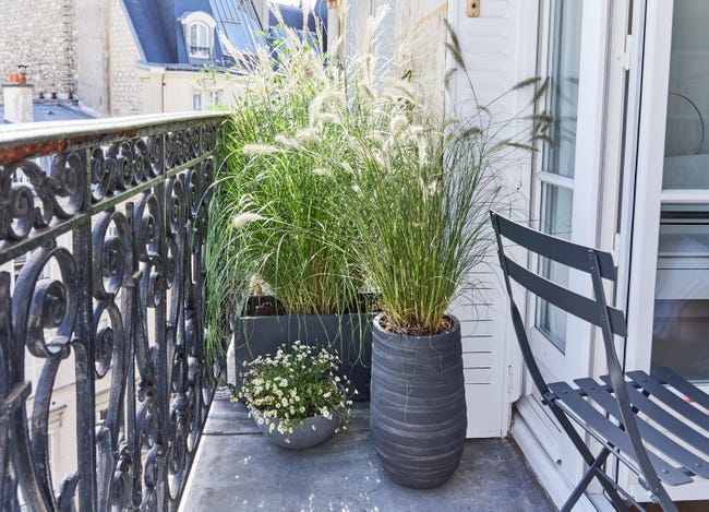 Leroymerlin Vaso Per Piante E Fiori BRUSSELS ECOPOT'S In Polipropilene Grigio H 14 Cm Ø 30 Cm