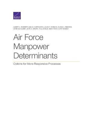 Ibs Air Force Manpower Determinants: Options for More-Responsive Processes