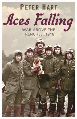 Ibs Aces Falling: War Above The Trenches 1918