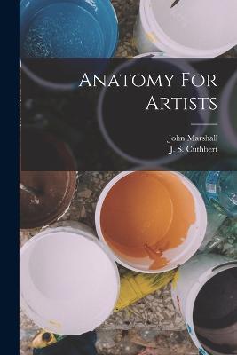Ibs Anatomy For Artists