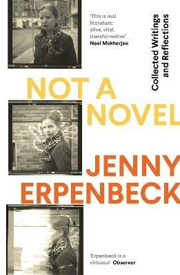 Ibs Not a Novel: Collected Writings and Reflections